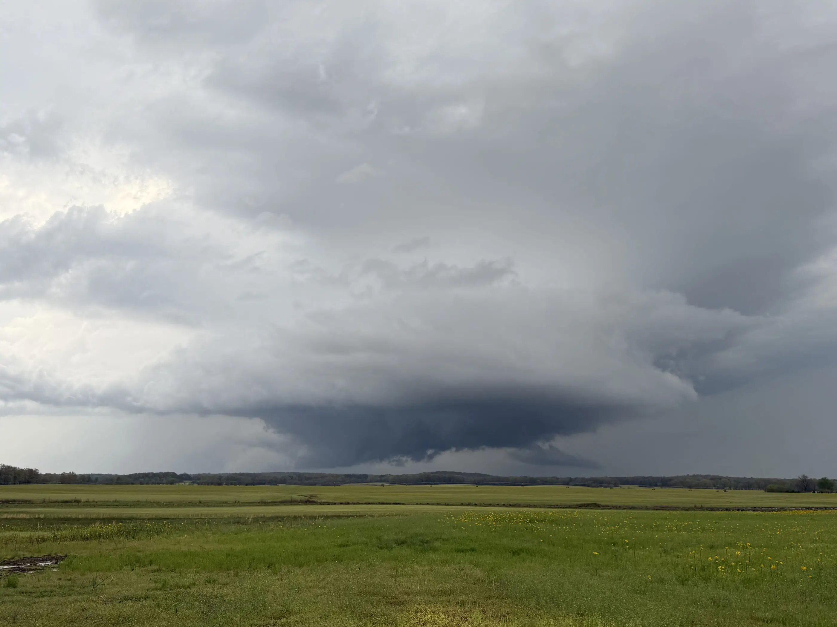 A wide, striated supercell base settling low over green West Tennessee farmland.